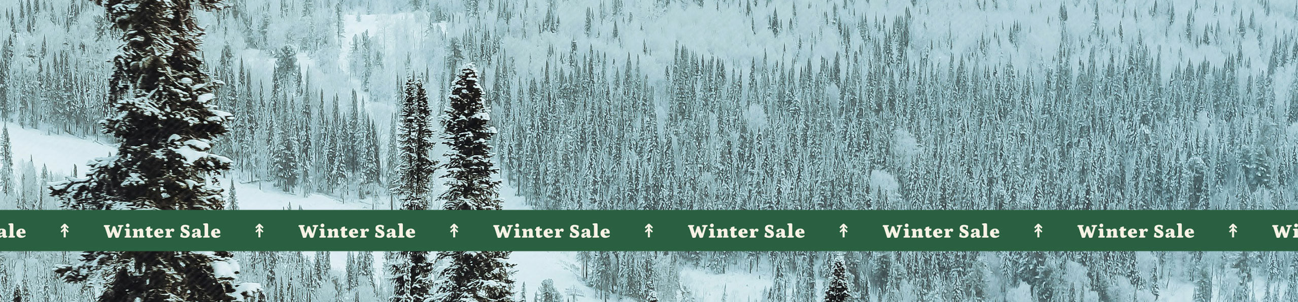Winter Sale
