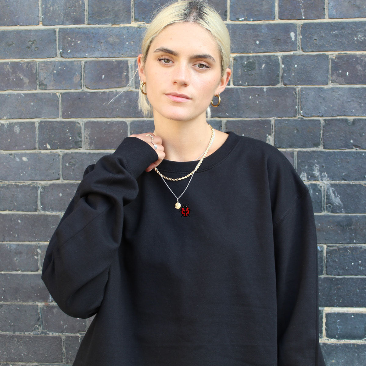Tiny Ladybug Embroidered Sweatshirt (Unisex)